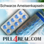 Black Ant Capsules 40